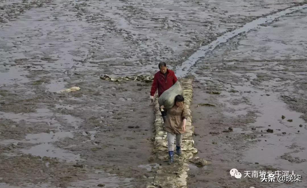 大连庄河赶海排名第一名,庄河赶海网红视频