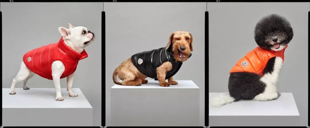 从一百到一千的羽绒服怎么选,男大牌羽绒服怎么选