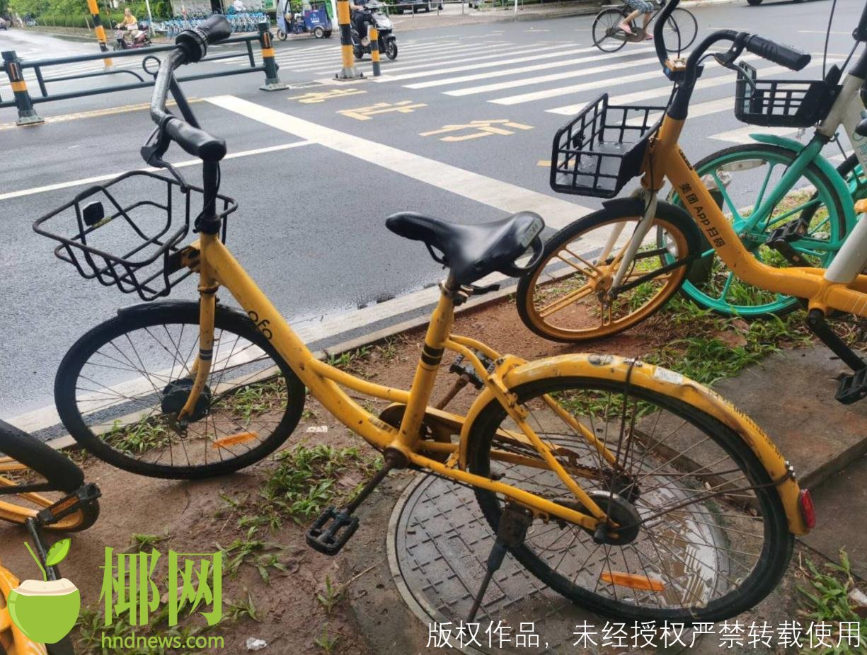 ofo小黄车免押金后怎么退押金,ofo小黄车怎样可以退押金