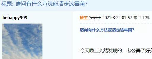 高温烘干能消灭霉菌吗,紫外线能处理家里的霉菌