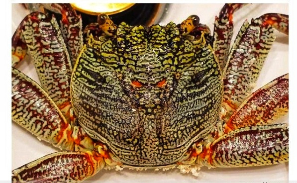 马尔代夫太阳岛度假村,马尔代夫最佳度假村