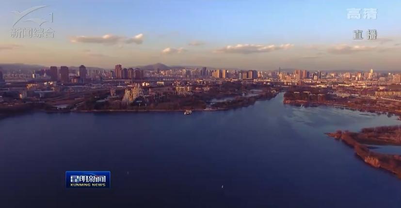 滇池昆明湖,昆明滇池的鱼现在怎么样了