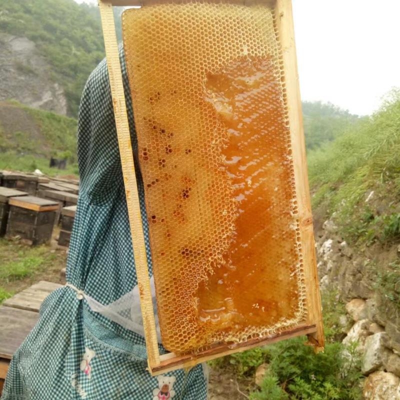 春季喝蜂蜜的好处图片,春天喝蜂蜜有6大好处