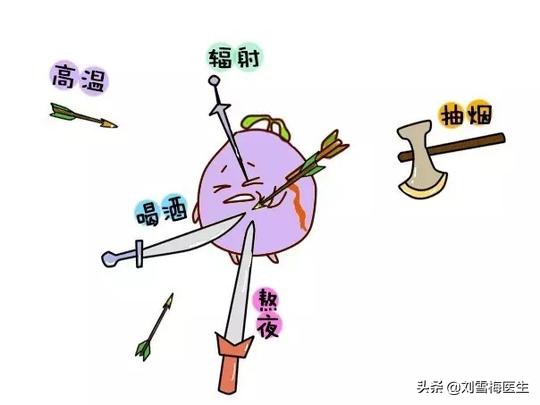 怀孕五周突然反应消失一定是胎停,双胞胎如果一个突然胎停了怎么办