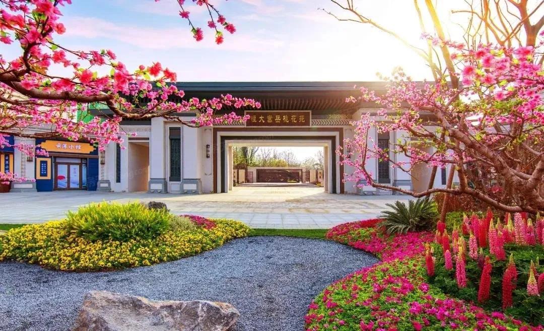 留美女博士,悄悄在郑州买了套房