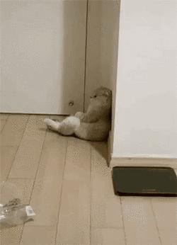 ob青训队最新消息,OB青训队