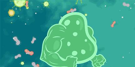 这几种液态的益生菌作用好，但不能多吃，你可能也吃过！