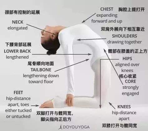 脾胃虚弱瑜伽调理,10个人9个脾虚