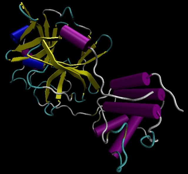 达摩院AI助力武汉医院，识别16800种病原微生物，准确率99%以上