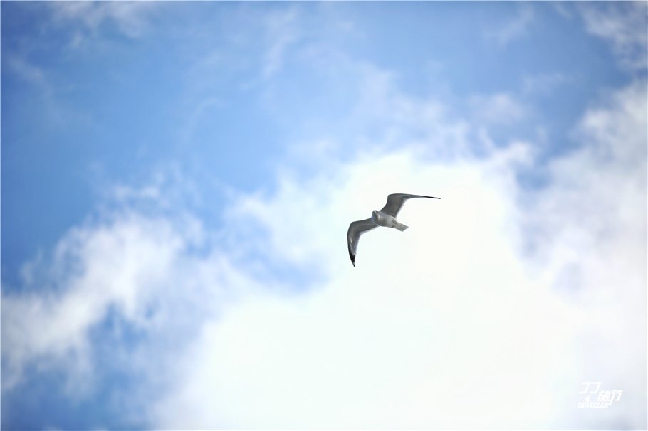 世界上最神秘的火焰瀑布,世界上最可怕的水下探险