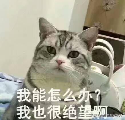 计算机重装系统流程自学,编程高手教你如何装系统