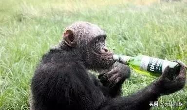 乌鲁木齐90后的南门回忆,乌鲁木齐人民公园记忆