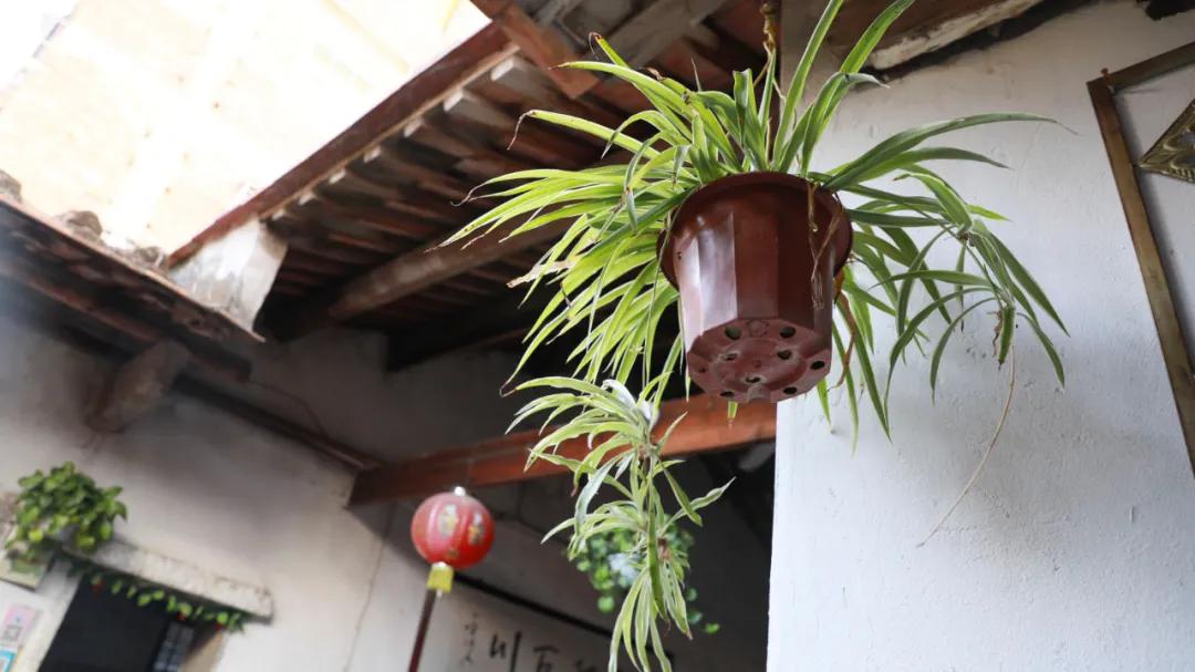 华大学生街藏了10年的古厝餐厅，吃一口都是外婆家味道