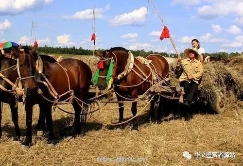上世纪30年代农村马车,六七十年代农村主要运输工具重温