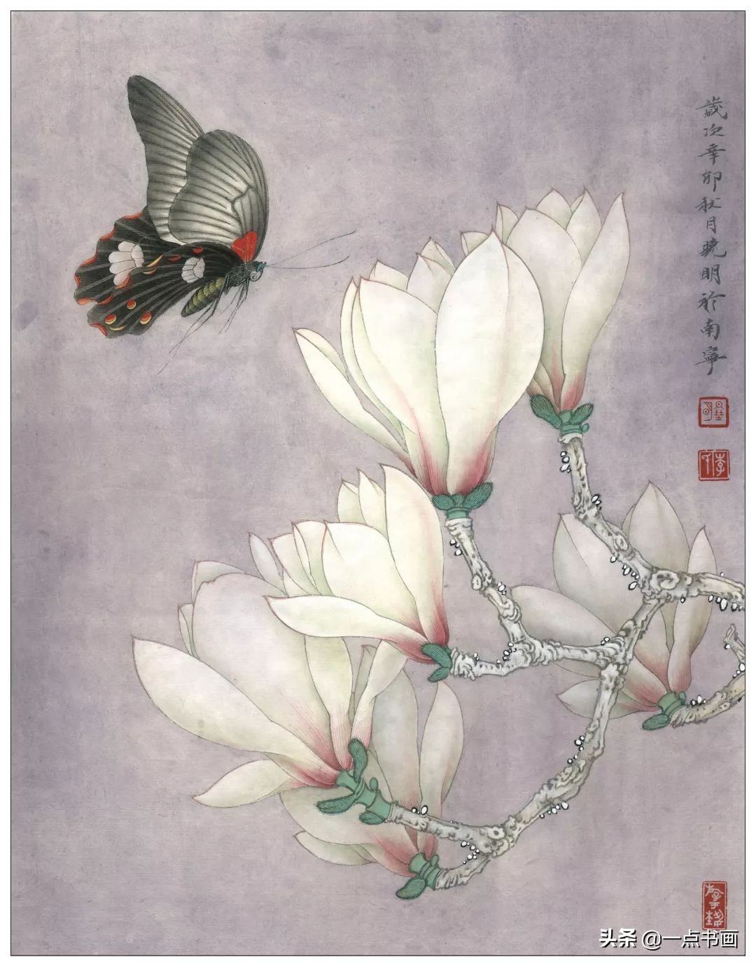 玉兰蝴蝶工笔绘制示范,玉兰蝴蝶工笔画上色步骤