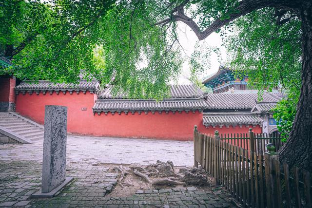 少林寺哪一种功夫比较出名,南少林寺出名还是北少林寺出名