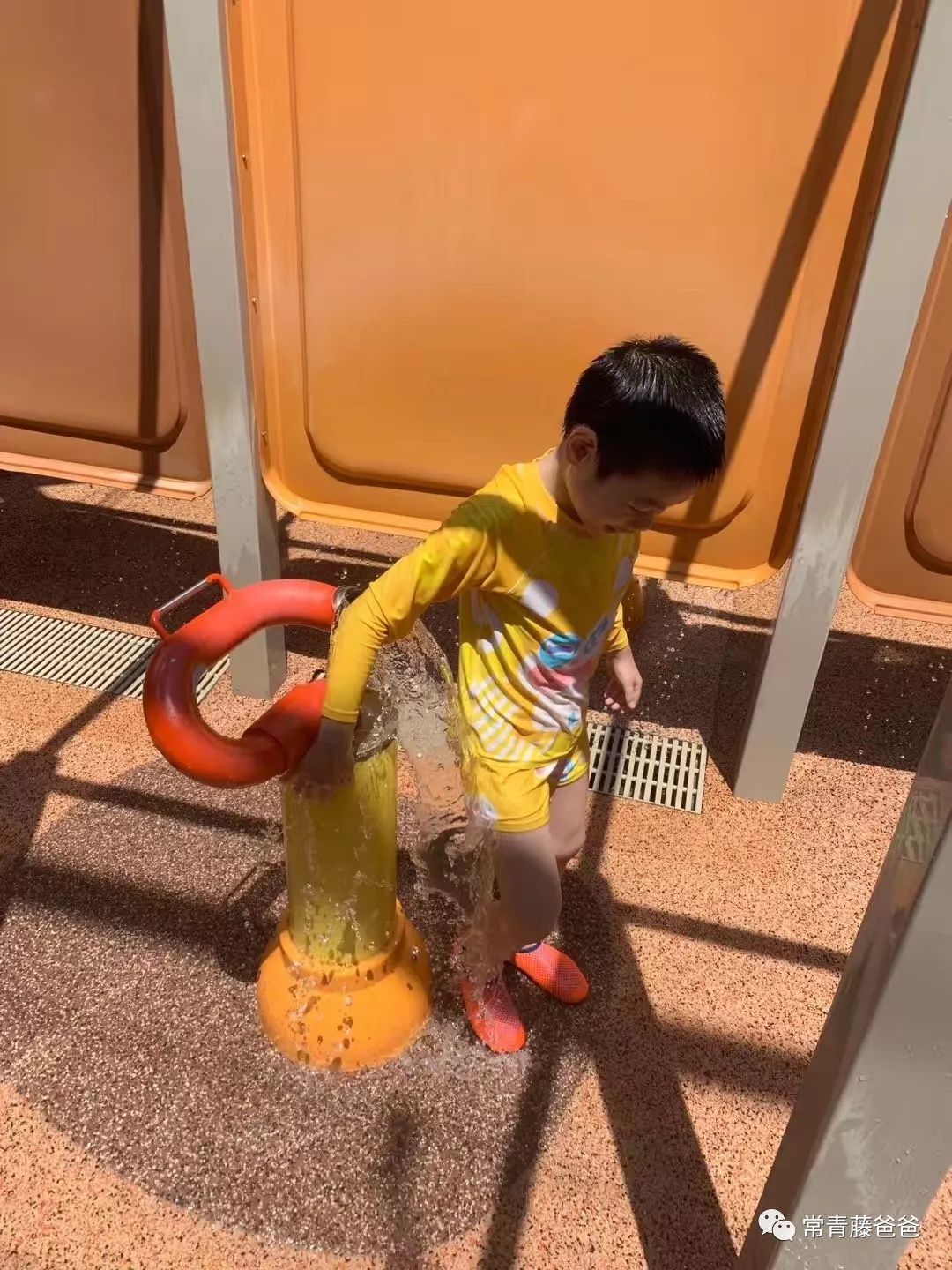 十一新加坡,十一游学新加坡