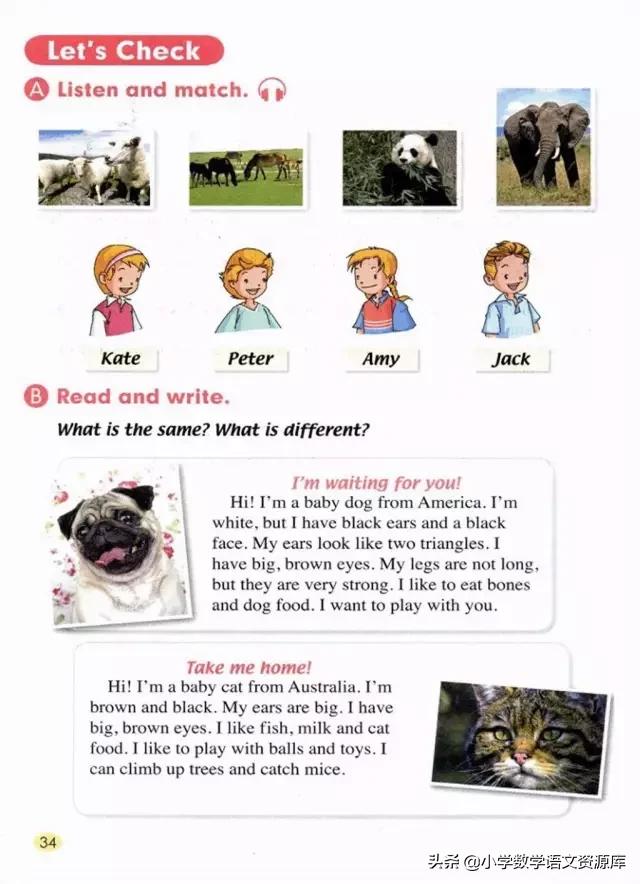 五年级上册英语pep单词表默写打印,五年级上册人教版pep英语思维导图