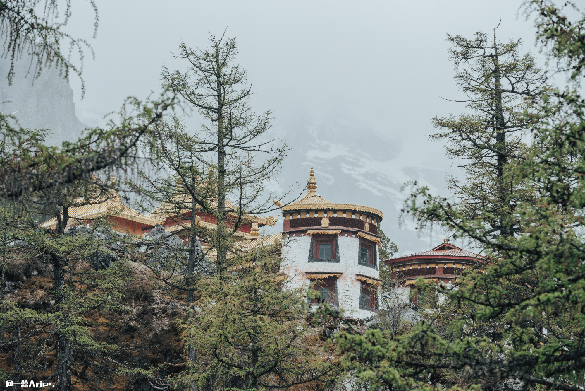 稻城亚丁8月自驾游攻略8天,稻城亚丁7月份雨季