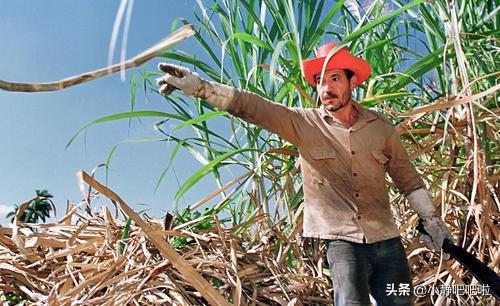 你所不知道的神秘国家古巴,古巴的十个冷知识