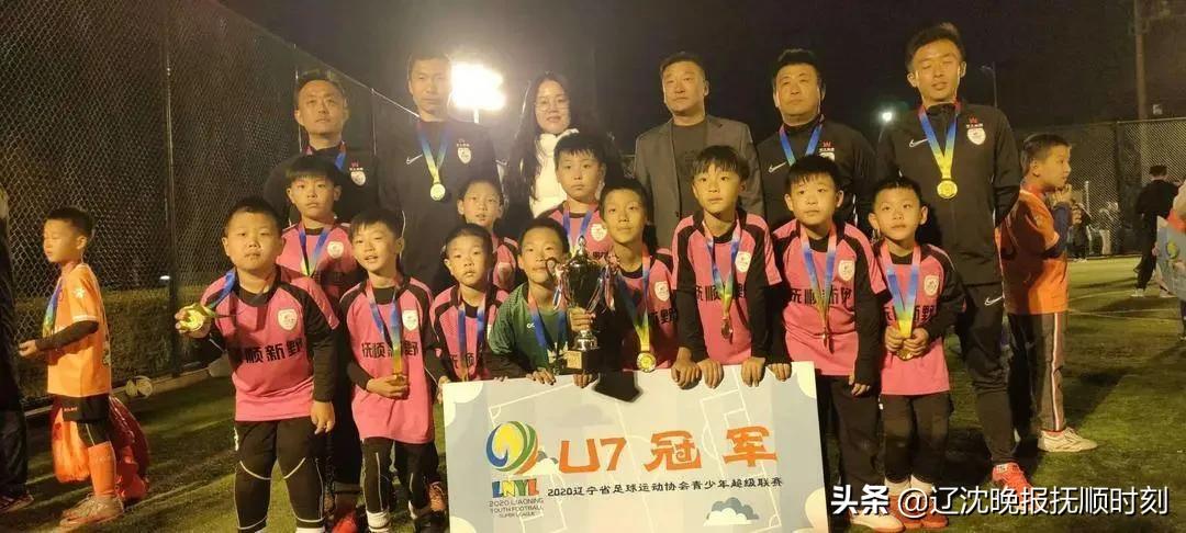 抚顺日报今日内容查询,抚顺第9期通告