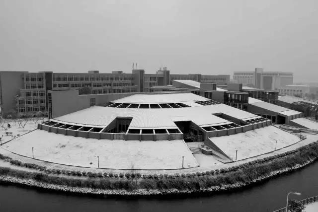 东南大学最美校花,全国公认大学最美校花