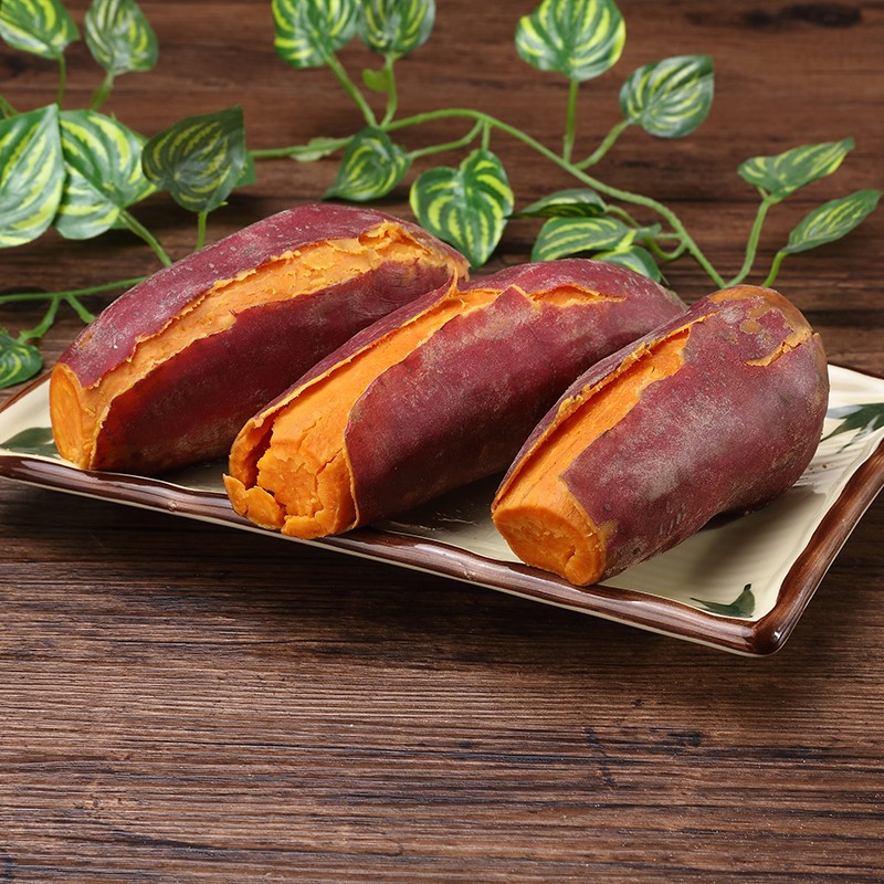 大学生好用的课程软件,大学生最实用的学习软件