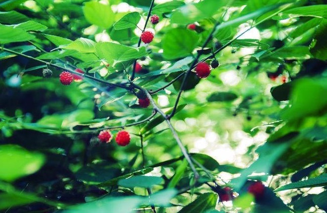 了解情绪的源头，你才能真正懂人性，才能真正调动智慧