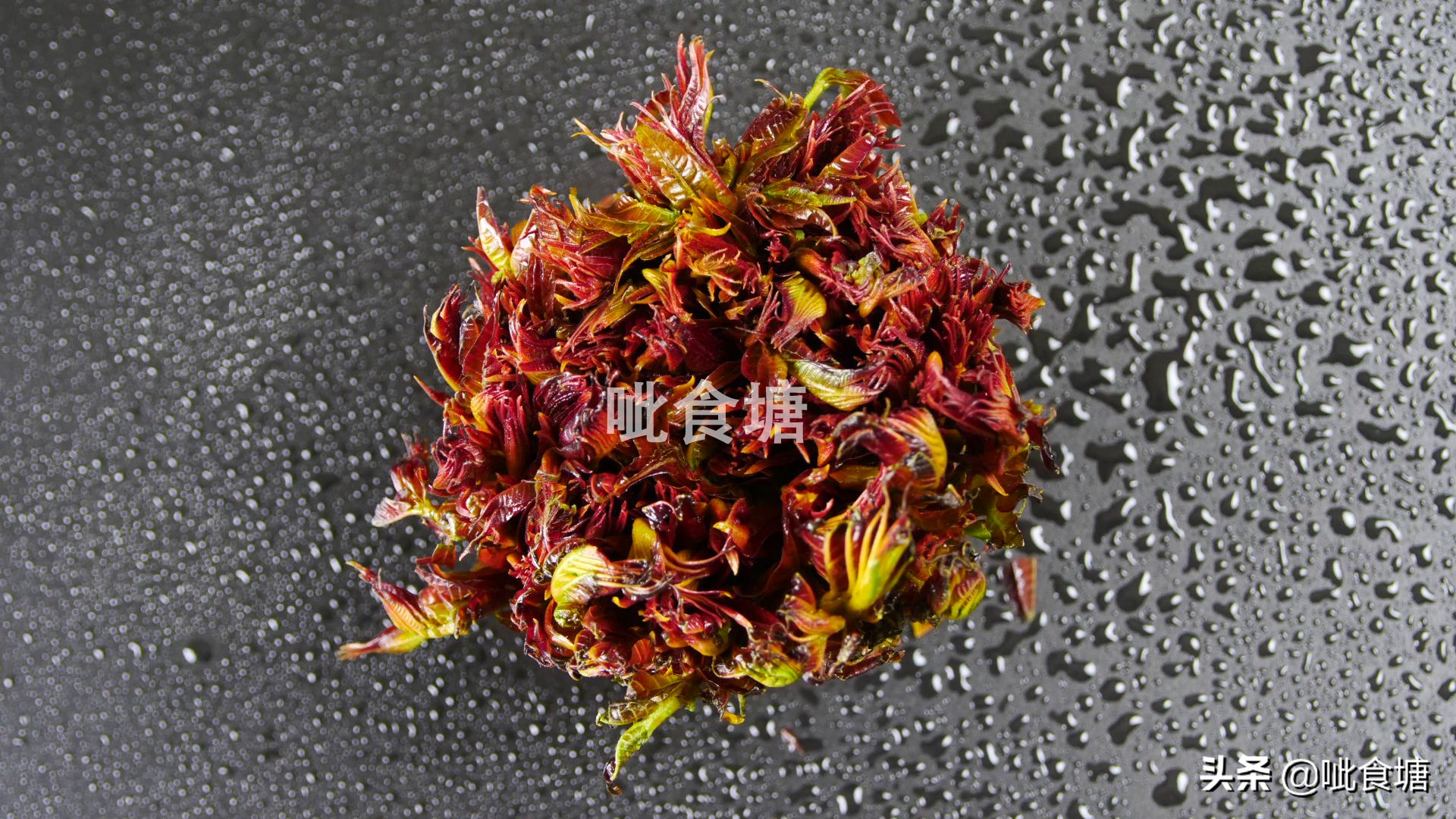春天的香椿芽最好吃,香椿芽炒土鸡蛋图片