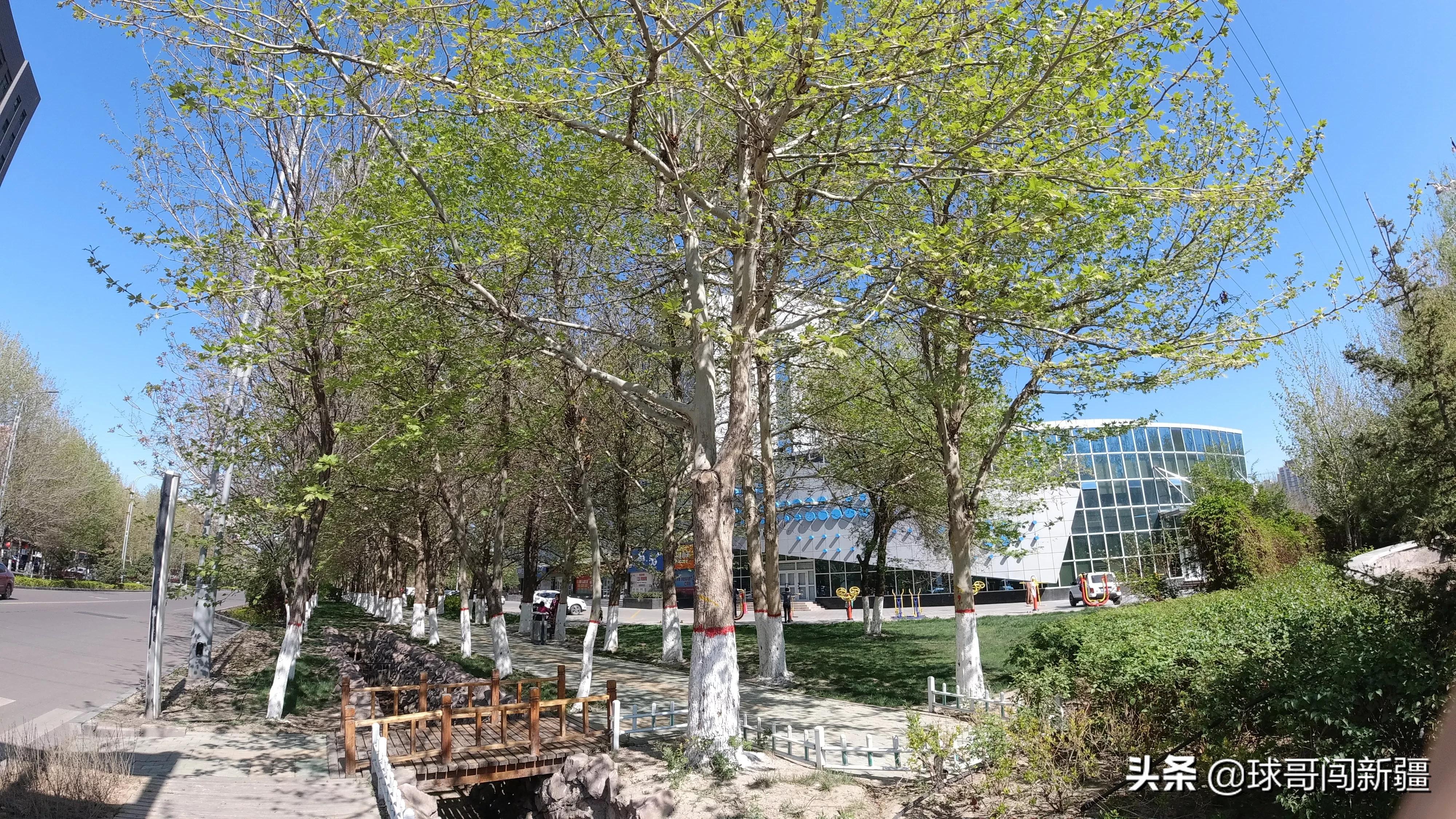 伊宁市具备成为大城市的许多条件,旅游业发达,为何仅排*疆新**第四