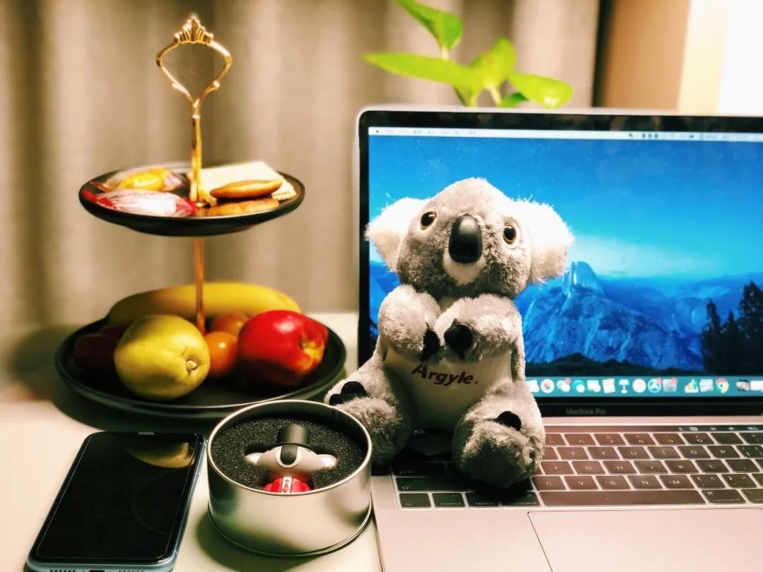 「旅搜网评」澳斯特精选酒店：穿梭在都市与海岸间，阳光从未离开