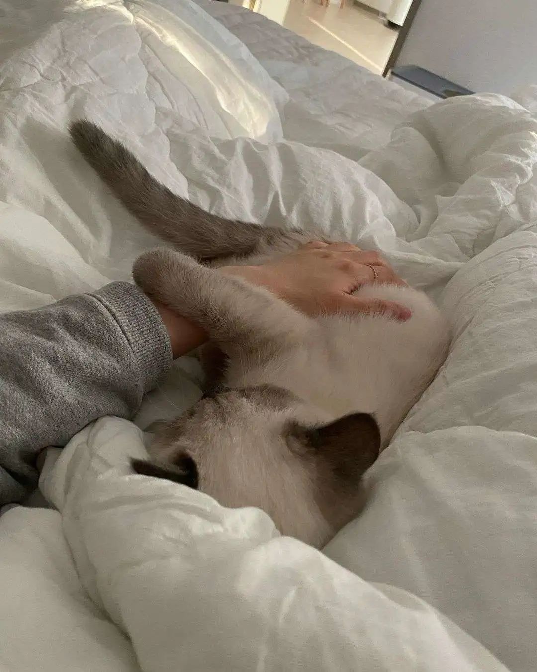 煤老板爆红完整版,煤老板ins