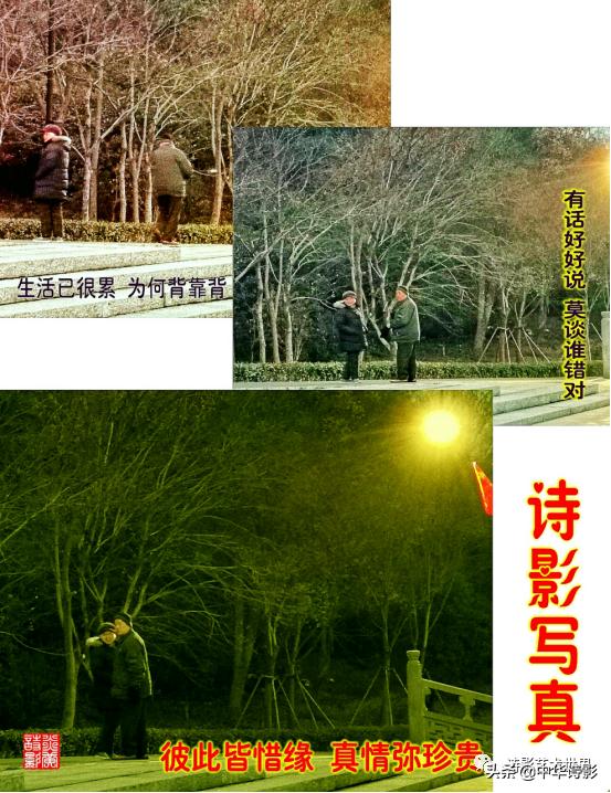 中华诗影大课堂,中华诗影艺术