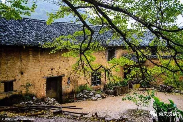 荷岚悦读原创文学作品,荷岚悦读完整版视频