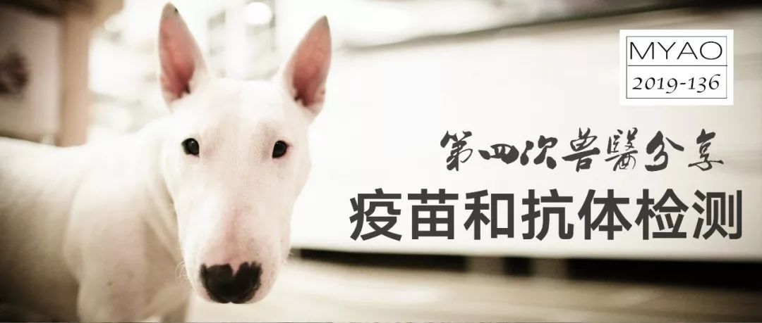 疫苗是抗原还是抗体,猫咪疫苗一样的吗