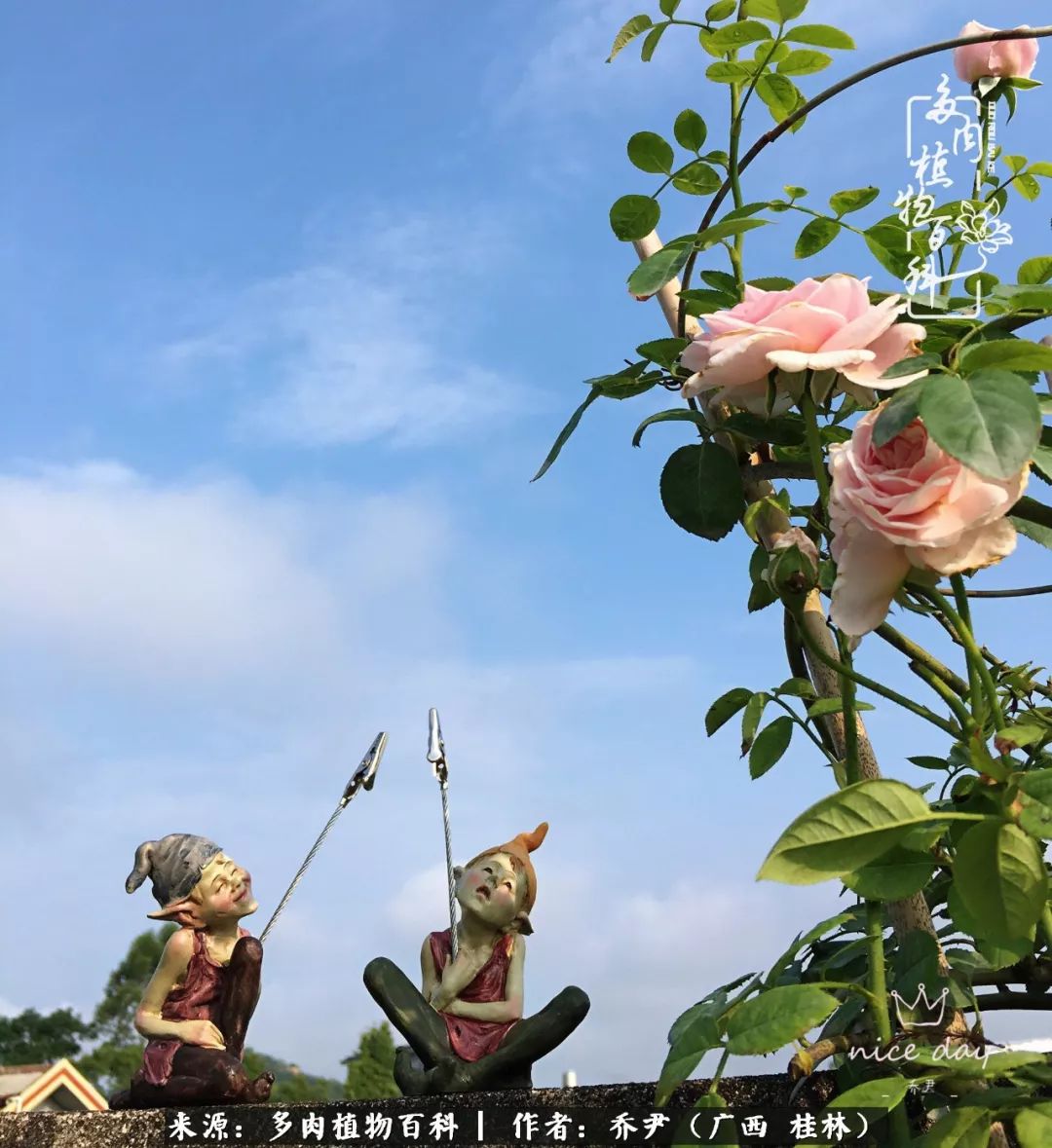 听到秋天的声音,听到了秋天的声音