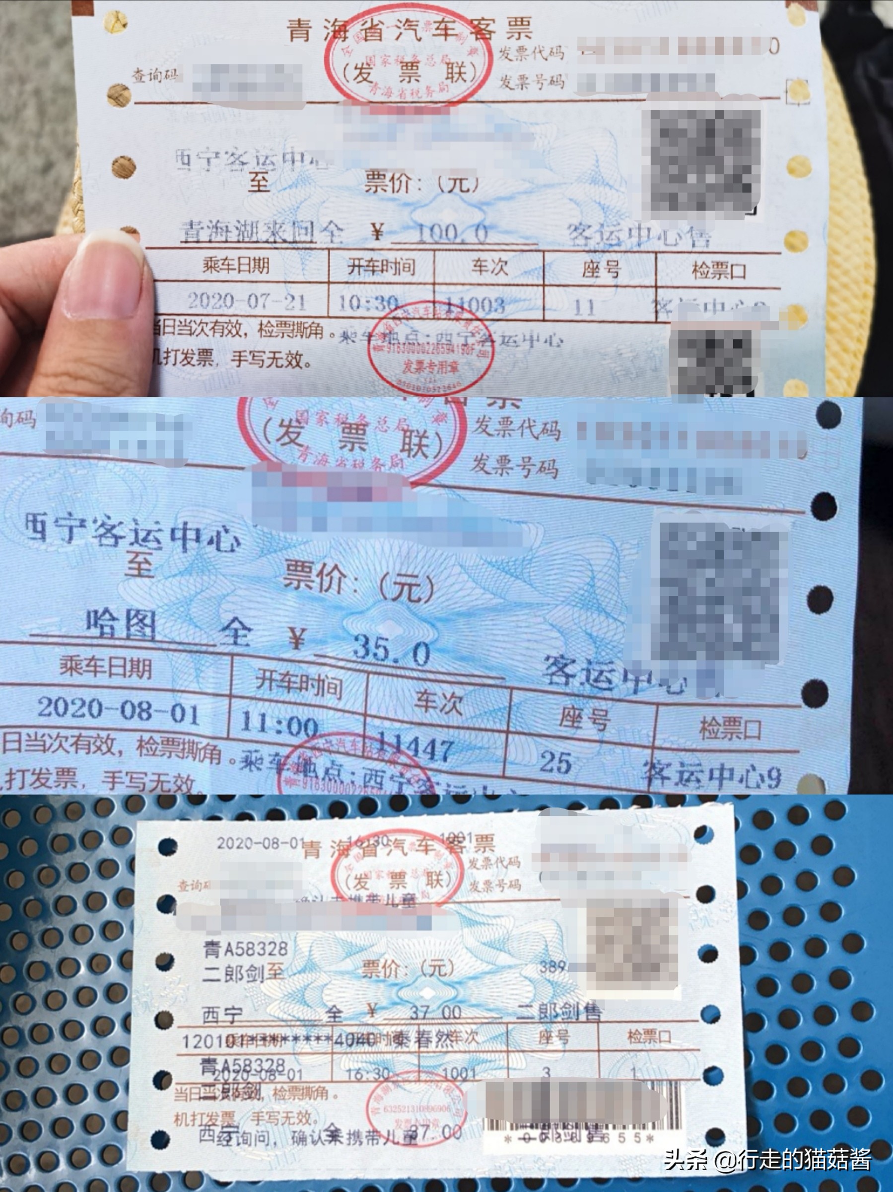 西宁旅游交通攻略路线,西宁避坑攻略