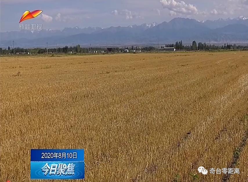 关于做好六稳六保工作的提示函,用心用情用力落实六稳六保