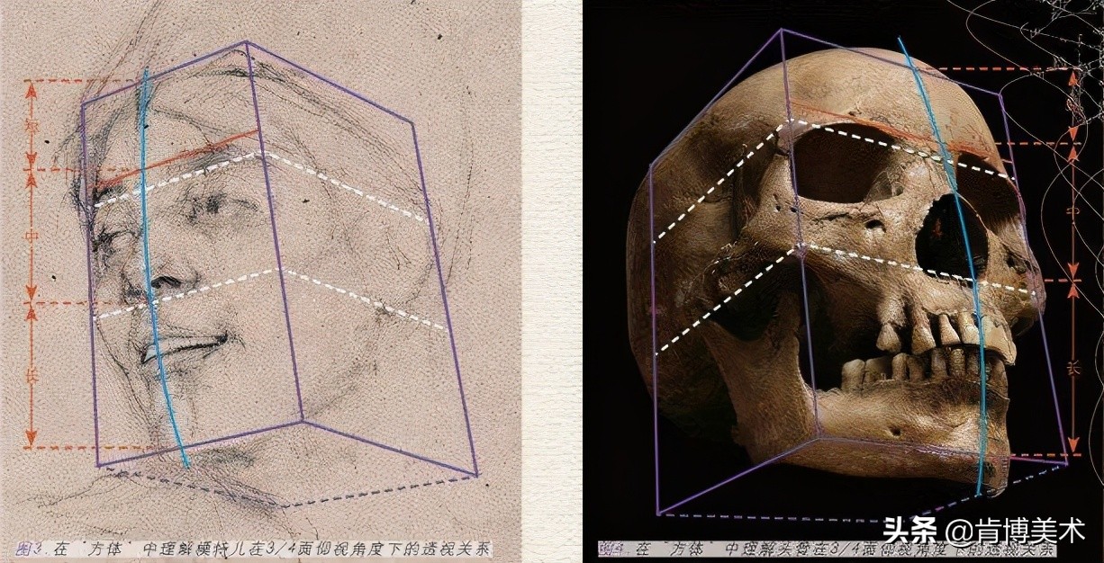 画人像学哪种,适合新手画人的绘画