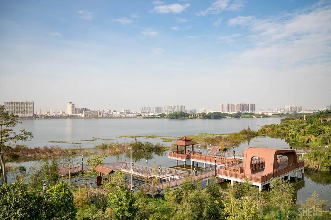 深圳千园之城计划,深圳千园之城风景