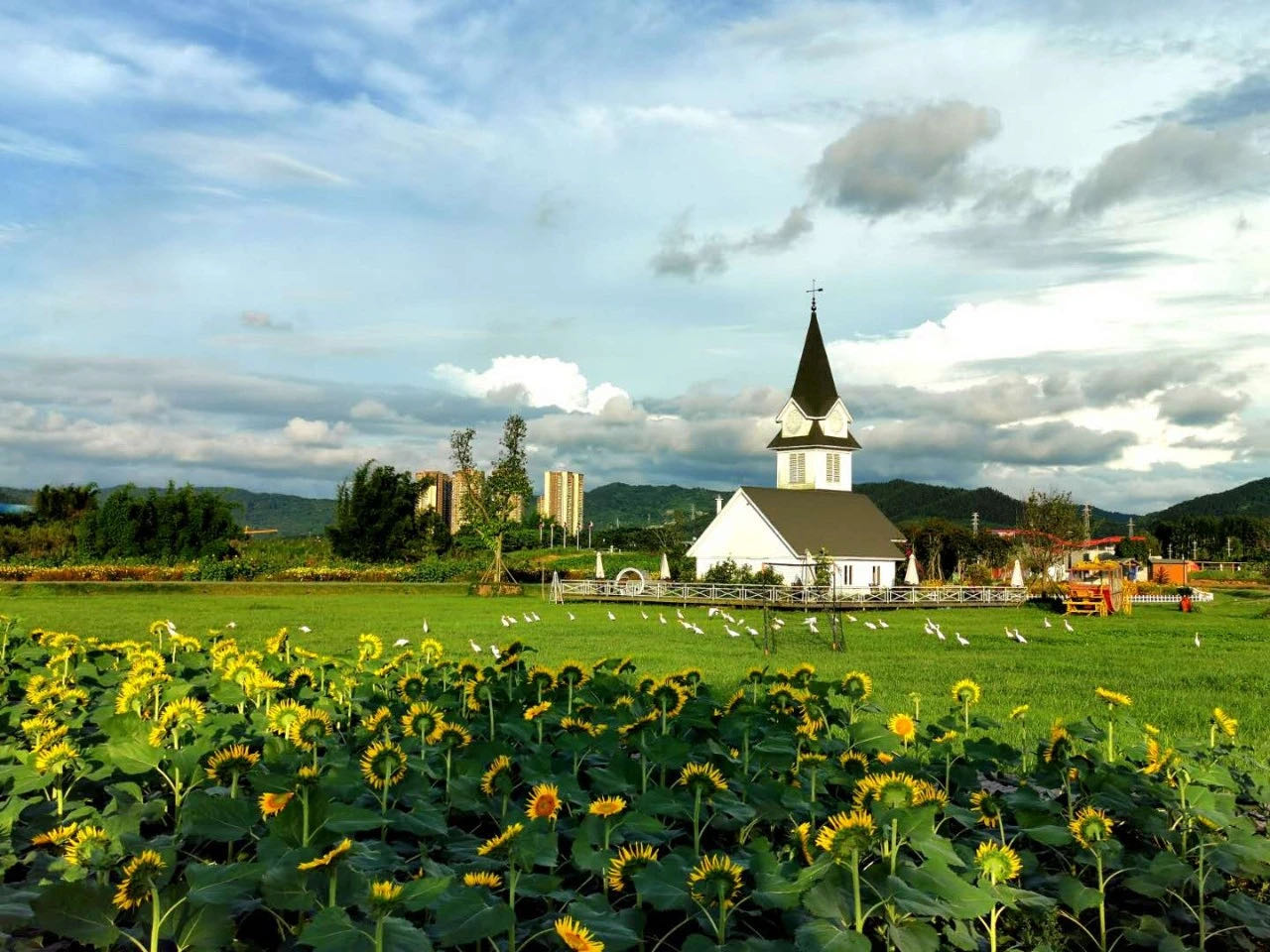 成都周边春季徒步旅游攻略,成都森林徒步旅游攻略