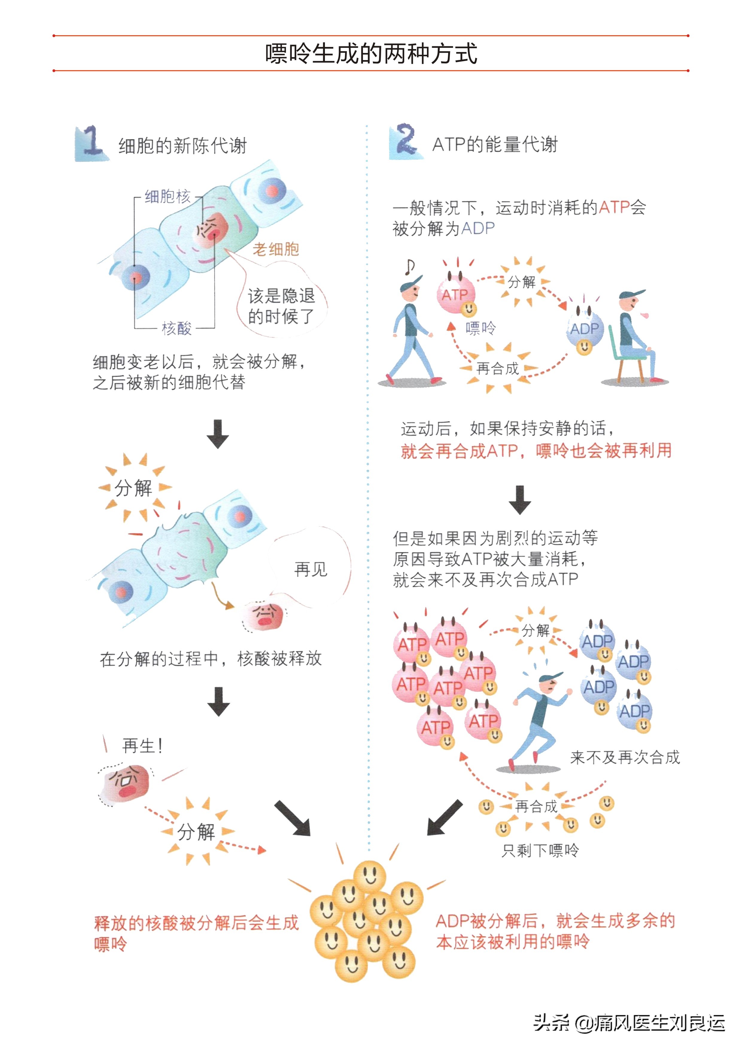 降尿酸祛痛风最健康的方法,降尿酸治痛风的最好方法