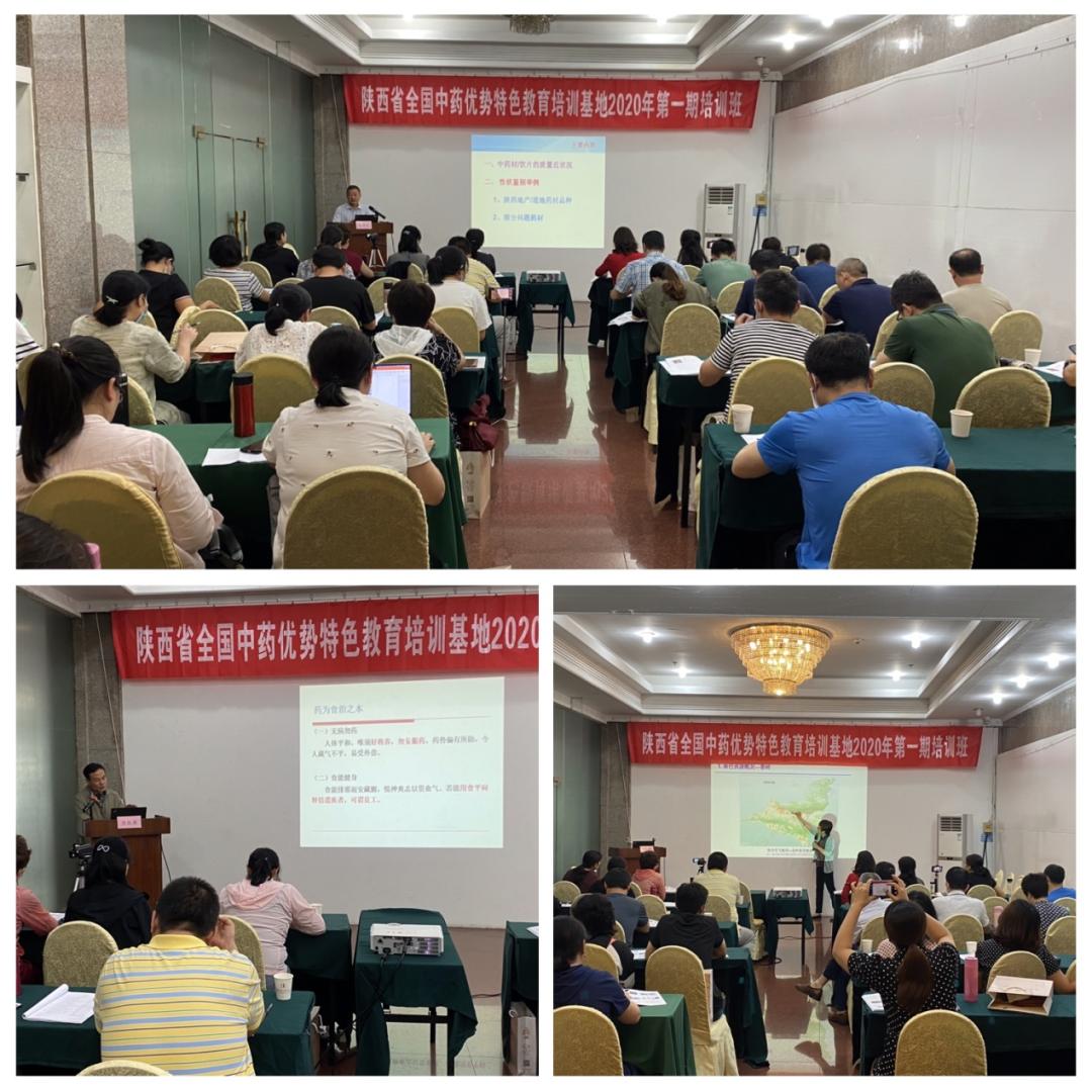 传承中医国粹精华,传承中药国粹弘扬中药文化