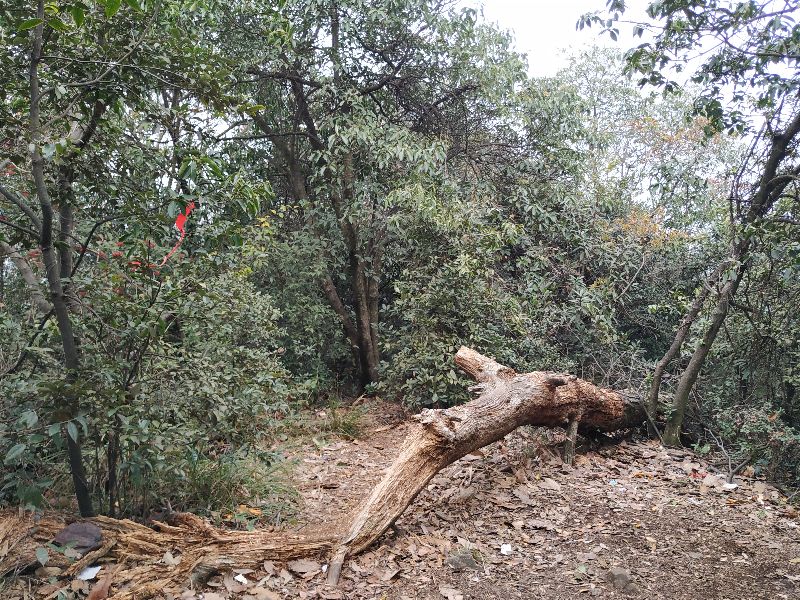 杭州市周末自驾游去哪里好玩,杭州出发周末旅游攻略