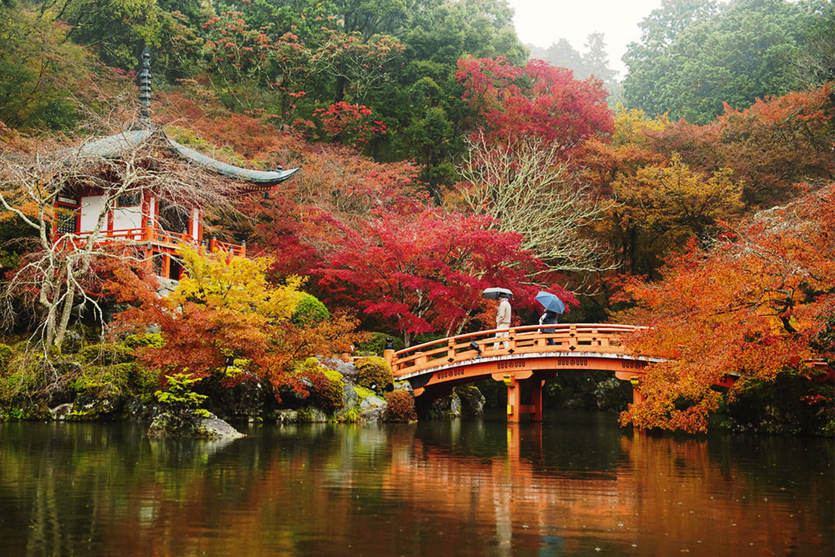 日本首都是京都还是东京,日本的首都是东京