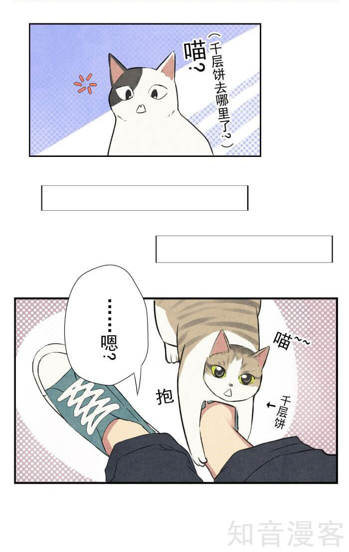 猫和铲屎官的日常生活漫画,猫和铲屎官的日常漫画