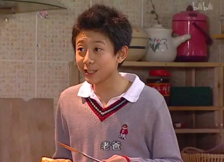 家有儿女刘星家到底是多有钱,家有儿女刘星家究竟多有钱