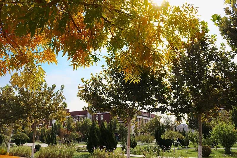 天津医科大学七所直属医院,天津医科大学独立学院是几本