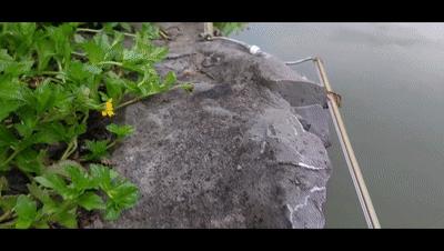 nova9pro和hinova9pro,华为nova9pro快速上手