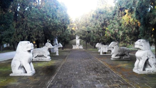 孔林是最大的氏族墓地吗,孔林最大墓葬群